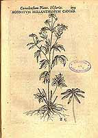  no thumbnail available