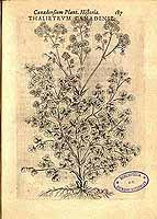  no thumbnail available