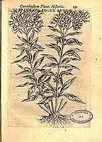  no thumbnail available