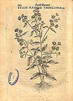  no thumbnail available