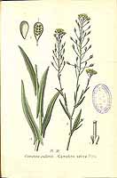  no thumbnail available