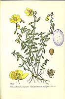  no thumbnail available