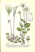  no thumbnail available