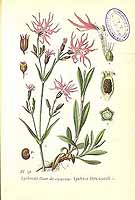  no thumbnail available