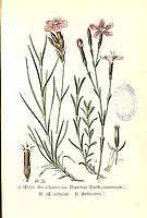  no thumbnail available