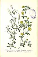  no thumbnail available