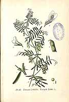  no thumbnail available