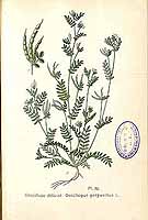  no thumbnail available