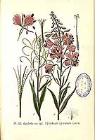  no thumbnail available