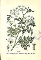  no thumbnail available