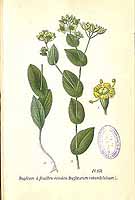  no thumbnail available