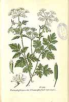  no thumbnail available