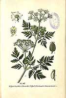  no thumbnail available