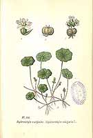  no thumbnail available