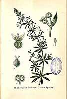  no thumbnail available