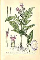  no thumbnail available