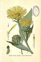  no thumbnail available