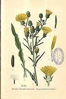  no thumbnail available