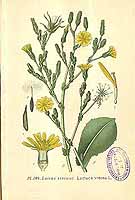  no thumbnail available