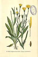  no thumbnail available