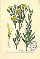  no thumbnail available