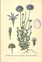  no thumbnail available