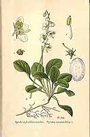  no thumbnail available