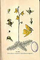  no thumbnail available