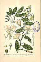  no thumbnail available