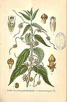  no thumbnail available