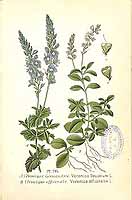  no thumbnail available