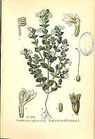  no thumbnail available