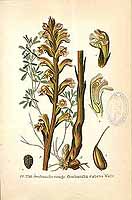  no thumbnail available