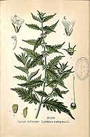  no thumbnail available