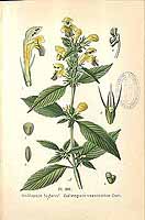  no thumbnail available