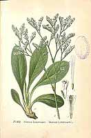  no thumbnail available