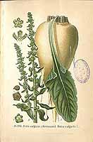  no thumbnail available