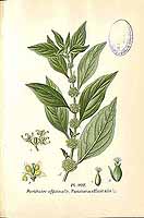  no thumbnail available