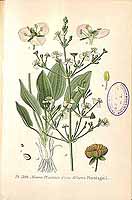  no thumbnail available