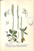  no thumbnail available