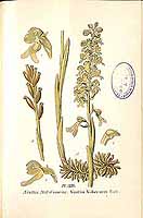  no thumbnail available