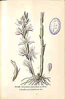  no thumbnail available