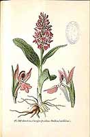  no thumbnail available