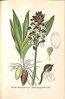  no thumbnail available