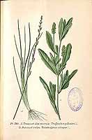  no thumbnail available