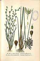  no thumbnail available