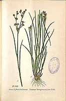  no thumbnail available