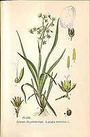  no thumbnail available