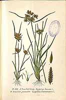  no thumbnail available