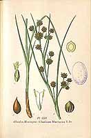  no thumbnail available